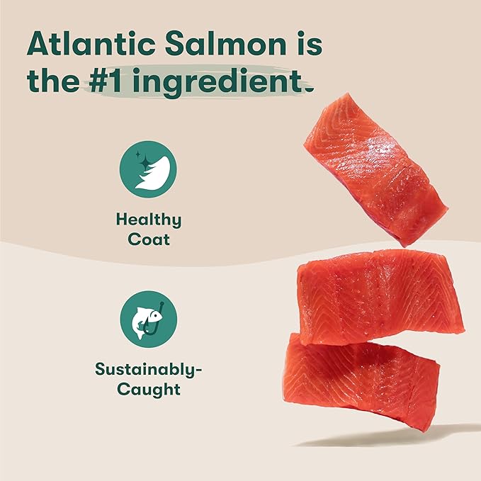 Jinx Premium Dry Dog Food Small Breed - Real Salmon, Brown Rice & Sweet Potato Kibble with Superfoods for Immune Support & Probiotics for Digestive Support - No Fillers – 4lb