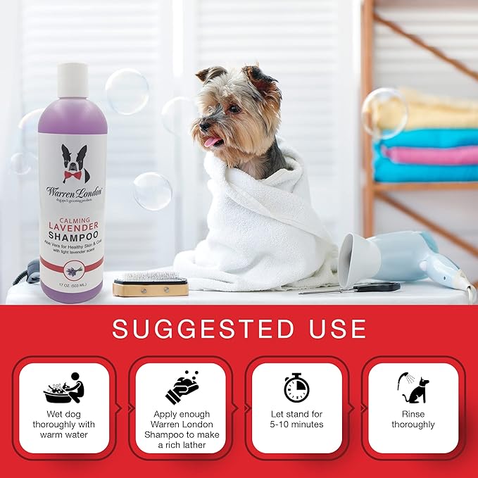 Warren London Calming Lavender Dog Shampoo | Softening Aloe Vera & Essential Oils for Dogs | Leaves Coat Silky & Smelling Amazing | Gentle & Soap-Free | Made in USA – 17 oz