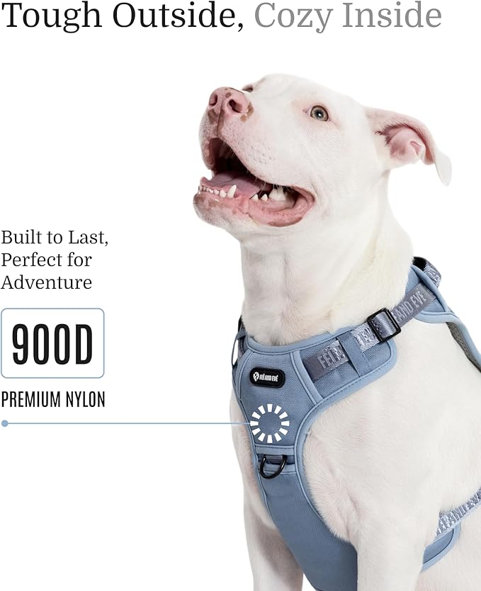 2025 New Edition, Fei & Eve Classic Dog Harness - Quick-Release Buckles | 3-Point No-Pull Control | Heavy-Duty 900D Nylon | Dual Safety Handles | Breathable Mesh | Adjustable Fit | Small,Blue