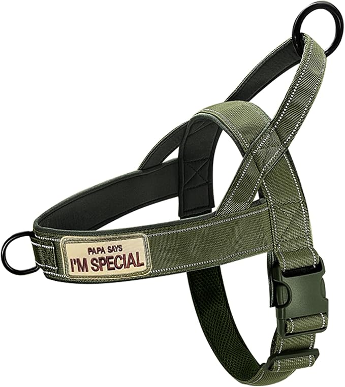 Green No Pull Dog Harness for Small Medium Large Sized Dog, Reflective Escape Proof Adjustable Dog Harnesses with 2 Patch, XL