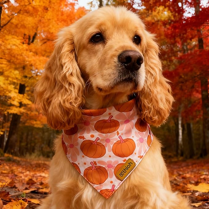 Fall Dog Bandanas - 2 Pack Halloween Thanksgiving Dog Bandana | Reversible Pumpkin and Leaf Pet Scarf | Premium Fabric | Boys & Girls | Holiday Bandana for Large and Extra Large Dogs (X-Large)