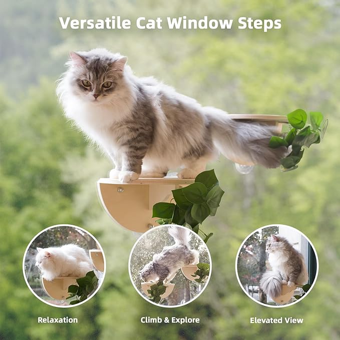Meowoou 2PCS Cat Window Steps Shelf Suction Cups Climbing Stair Cats Perch Bed Durable Cat Seat for Window Sill Sturdy Step for Indoor Cats