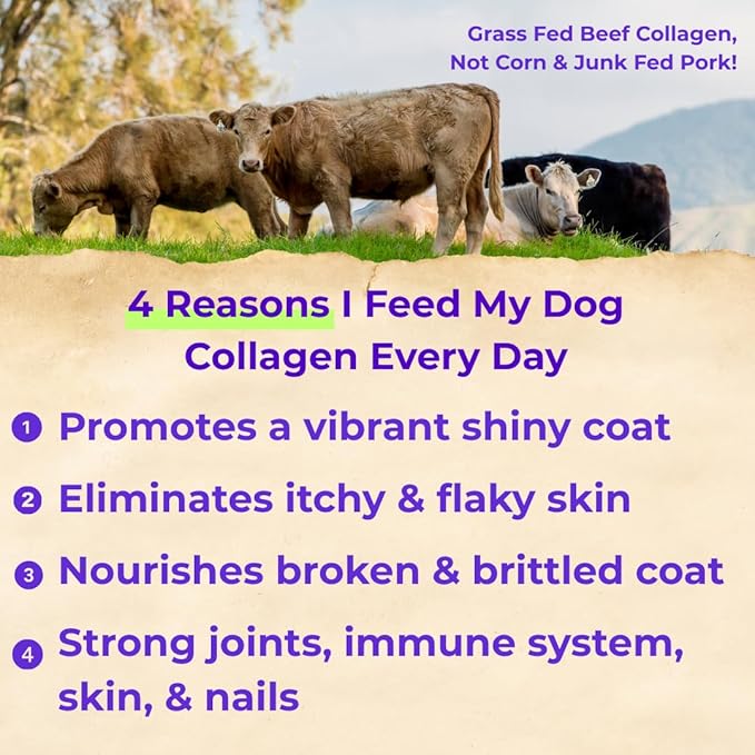 Back 40 Dogs Premium Grass-Fed Liquid Collagen for Dogs Skin and Coat, HIPS and Joints | Allergy Relief with Biotin, Vitamin C and MSM for Joint, Nails & Immunity | Made in USA