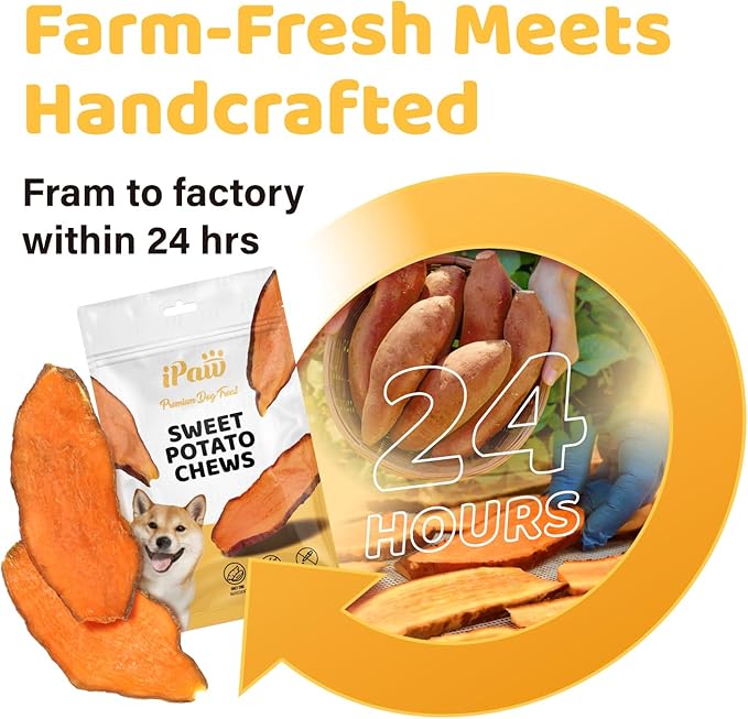 iPaw Sweet Potato Chews, Single Ingredient Dog Treats for Vegetarian, All Natural Human Grade Puppy Chew, Rawhide Alternative, Hypoallergenic, Easy to Digest, 2 Packs