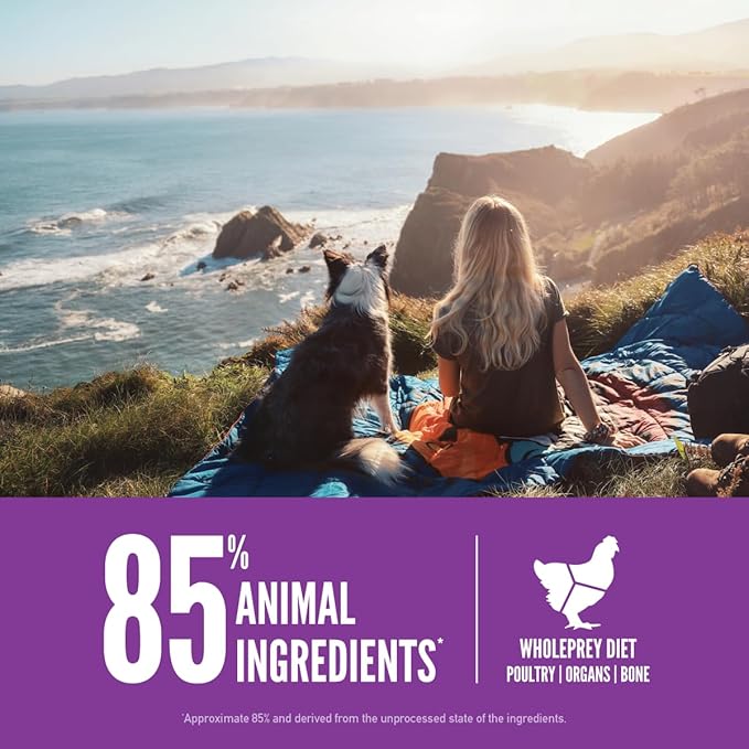 ORIJEN Grain Free High Protein Dry Dog Food Puppy Large Recipe 13lb Bag