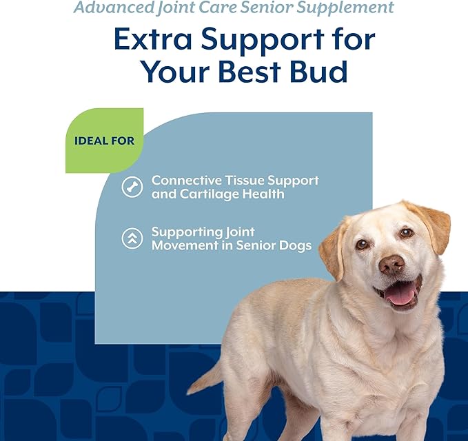 NaturVet Senior Advanced Joint Health Dog Supplement – Includes Glucosamine, MSM, Chondroitin, Collagen – Helps Supports Canine Joint Health Function – 60 Ct. Soft Chews