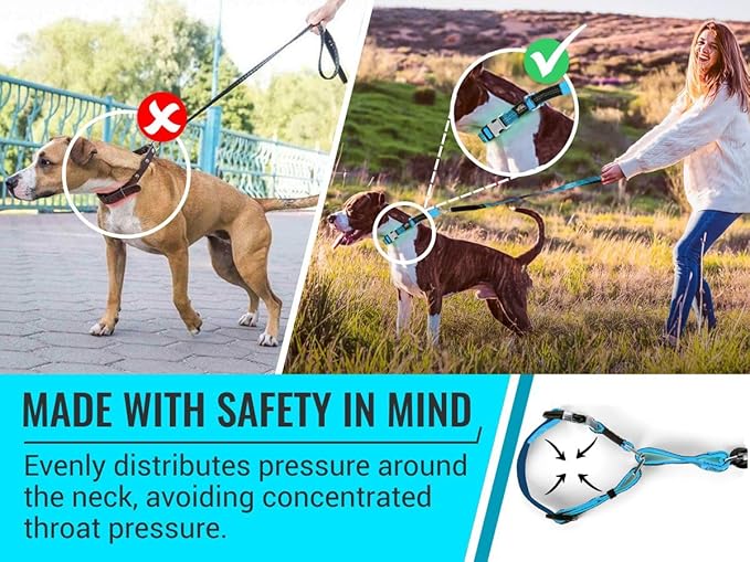 Orange Martingale Collar for Dogs - Heavy Duty Nylon Pet Collars for Escape-Free, No Pull Training & Walking with Alloy Metal Release Buckle & Reflective D Ring, One Time Adjustment, Safe & Secure, L