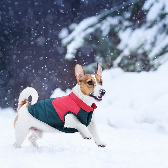 ASENKU Dog Winter Coat - Waterproof Windproof Dog Jacket, Warm Snowproof Doggie Puffer Vest for Cold Weather, Lightweight Snow Coats for Small Medium Large Dogs (Red&Navy, L)