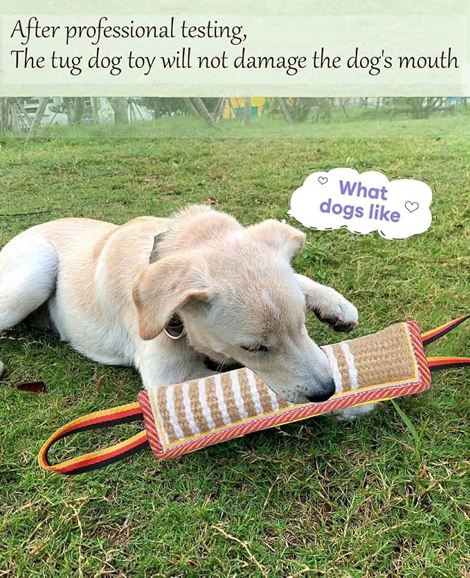 Clysoru Dog Tug Toy Dog Tough Jute Bite Pillow Lasting Training Equipment Two Flag Handles Puppy to Large Dogs Interactive Toy war Toys for Aggressive chewers