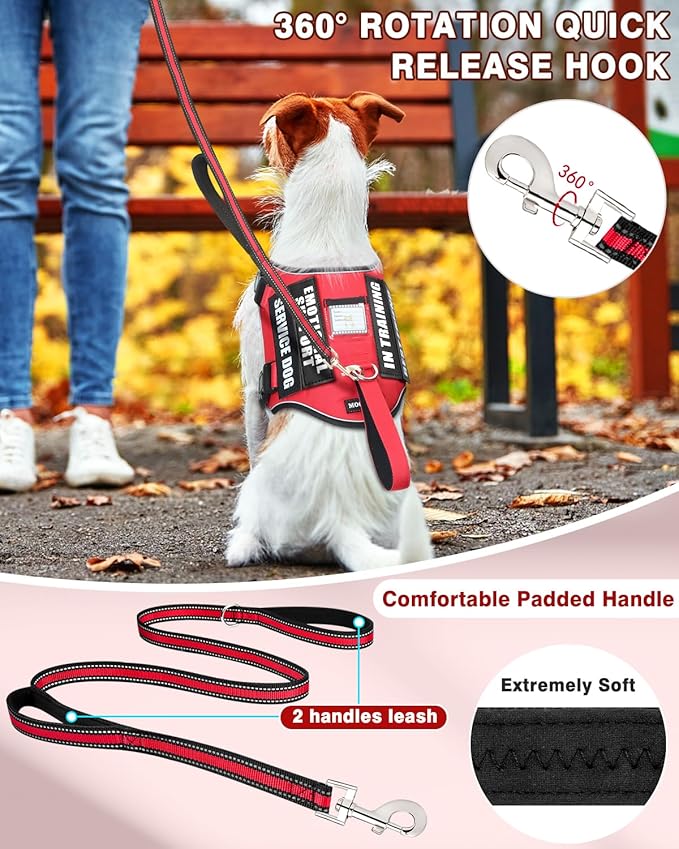 Service Dog Vest Harness and Leash Set+10 Patches for Puppy Small Dogs,Do Not Pet Emotional Support Dog Vest with 2 Soft Padded Handle for Everyday/Training (Red XS)