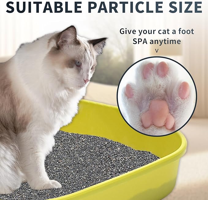 Natural Sodium-Based Raw Mineral Cat Litter | Dust-Free, Ultra Absorbent, Odor Control | Eco-Friendly, Low Tracking, Clumping Cat Litter (2 * 9.9LBS_Black Diamond)