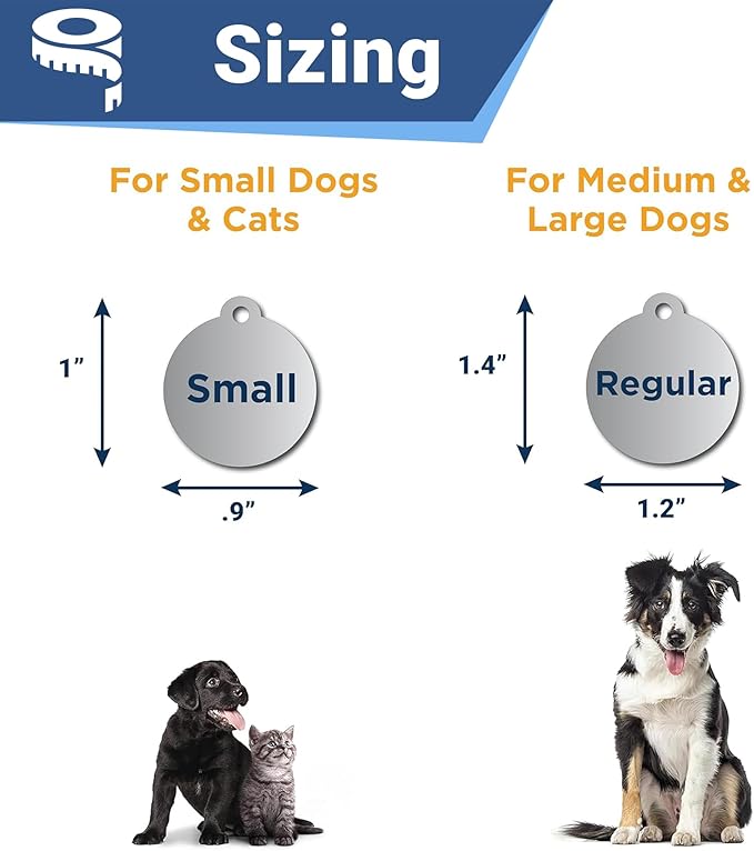 GoTags Paw Print Round Stainless Steel Pet Tag for Dogs and Cats, Personalized with 4 Lines of Custom Engraved ID with Silencer, in Stainless Steel and 15 Colors Small and Large, Silver