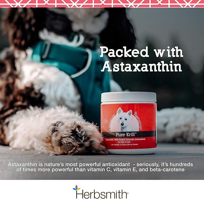 Herbsmith Pure Krill - Wild-Caught Antarctic Krill - Just 1 Ingredient - Astaxanthin for Dogs - Ready-to-Use Omega 3s – Alternative to Krill Oil for Dogs - 75g