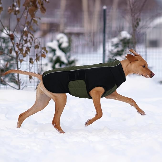 Kuoser Dog Jackets for Small Dogs, Warm Dog Coat with Harness Built in, Puppy Winter Jacket Pet Clothes for Cold Weather, Reflective Waterproof Doggie Winter Vest for Pug Dachshund, Green S