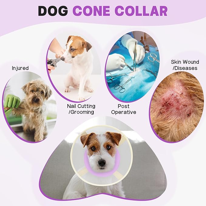 Soft Dog Cone Collar to Stop Licking-Adjustable Comfortable Mesh Recovery Collar After Surgery for Small Miniature Dogs, Alternative to Plastic Elizabethan Collar for Neuter Incision Care (Purple,L)