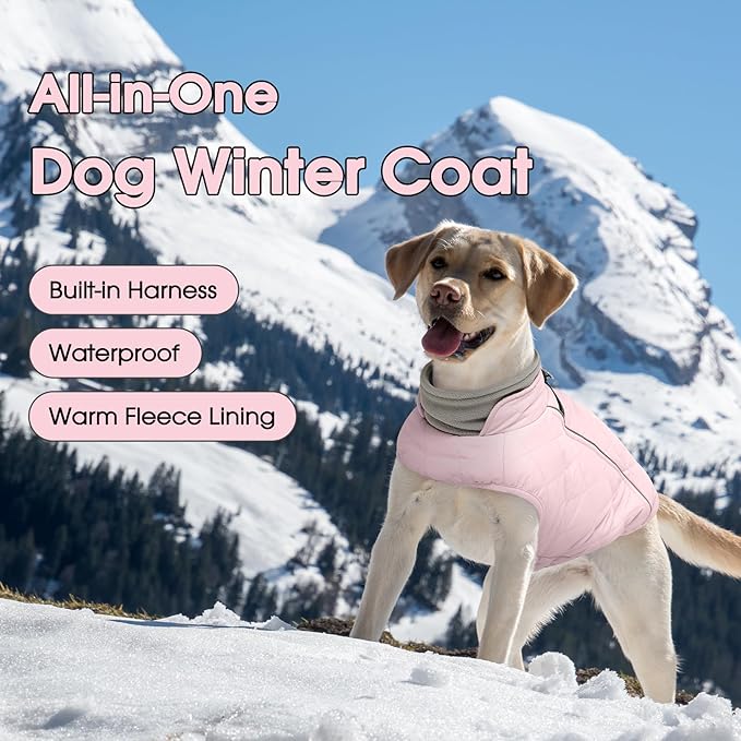 QBLEEV Warm Dog Coat for Medium Dogs, Waterproof Dog Winter Jacket with Built-in Harness & Reflective, Snowproof Warm Coat with Zip Closure, Neck Drawcord & Elastic Waist Snow Jackets, Pink, L