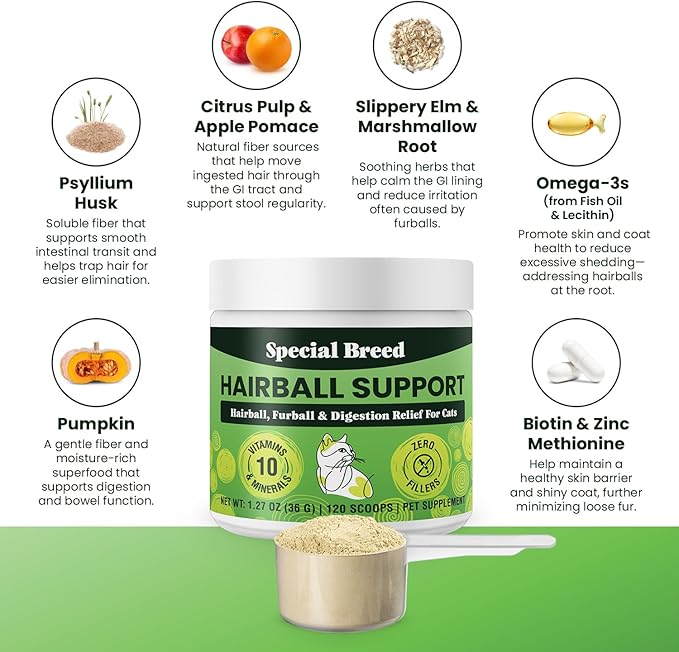 Hairball Support for Cats - 10 Super Ingredients for Hairball Relief, Digestive Support & Healthy Skin - No Fillers - Psyllium, Pumpkin, Omega-3s & More - 120 Scoops