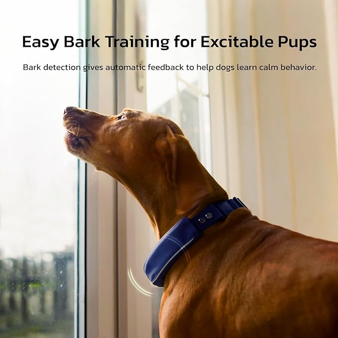 SATELLAI GPS Dog Collar, Blue [Free 1-Year Membership] The Most Advanced Dog Wireless Fences with AI Analysis, Precise Position, 5-Day Battery, and IP68 Waterproof, Flexible Virtual Fencing for Dogs