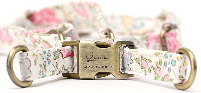 Angie and Allie Organic Cotton Personalized Step in Dog Harness,Custom Dog Halter Vests,Adjustable No Pull Canine Halter Harness for Small Medium Large Dogs