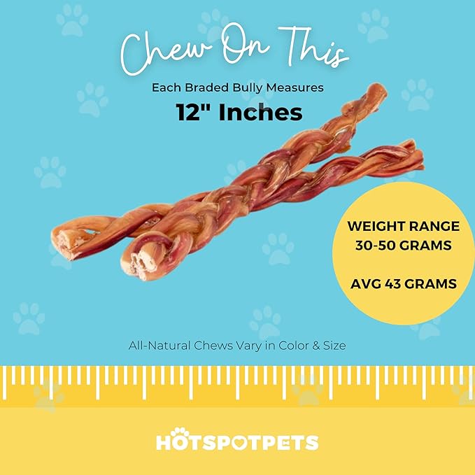 hotspot pets Braided Bully Sticks for Dogs -(12 Inch -10 Pack) All Natural Long Lasting Twisted Beef Pizzle Dog Chew Treats - Grain Free Fully Digestible Rawhide Alternative - 12 Inch Stix