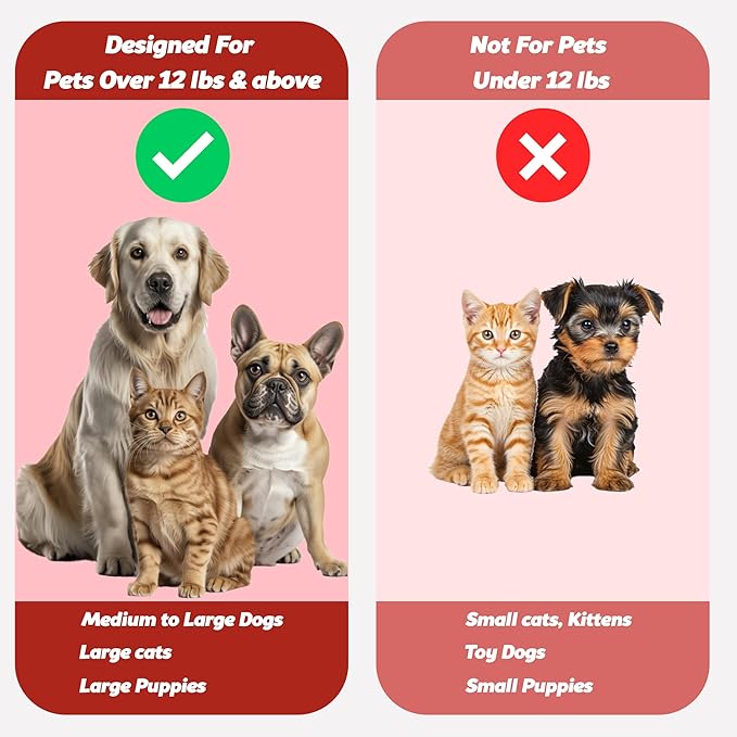 Pet Toothbrush for Dogs, Cats with Soft Bristles - Easy Teeth Cleaning & Dental Care, Non Slip Dual Head Dog Toothbrush for Medium & Large Pets, Toothpaste Not Included, Pack of 2