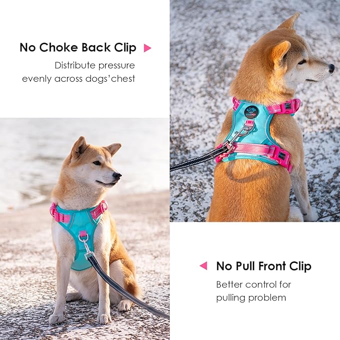 PHOEPET No Pull Dog Harness, Unique Colors Reflective Adjustable Dog Vest, with Soft Training Handle Metal Clips for Small Medium Large Dogs (Mint Green Base & Pink Straps,S)