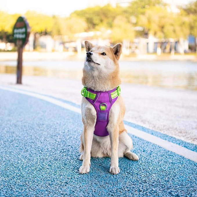 PHOEPET No Pull Dog Harness, Unique Colors Reflective Adjustable Dog Vest, with Soft Training Handle Metal Clips for Small Medium Large Dogs (Purple Base & Green Straps,XL)