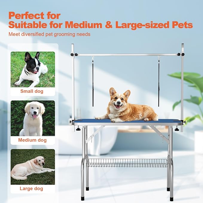 46'' Modern Blue Dog Grooming Table, Foldable Professional Grooming Table for Large Dogs, Up to 330lbs, Stainless Steel