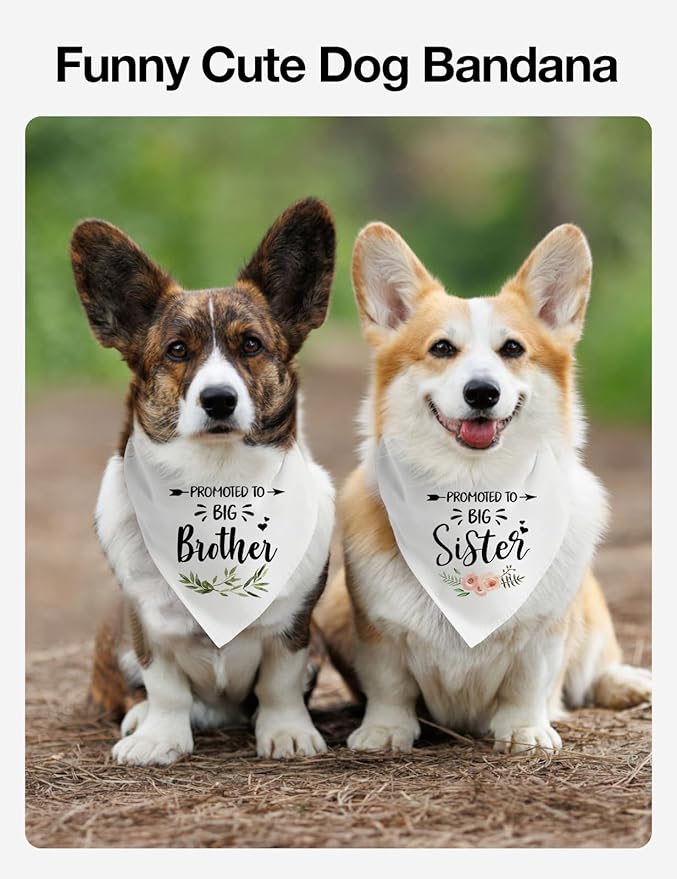 Promoted to Big Brother and Sister Dog Bandana, White Big Sister Bandana for Dog, Big Brother Scarf Gender Revealing Baby Announcement Dog Bandana Dog Lovers Gifts Pack of 2