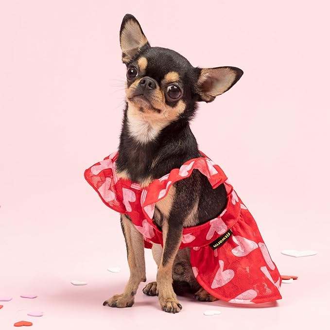 Fitwarm Valentine's Day Sweet Heart Dog Dress, Dog Holiday Outfit, Red, Pink, Medium