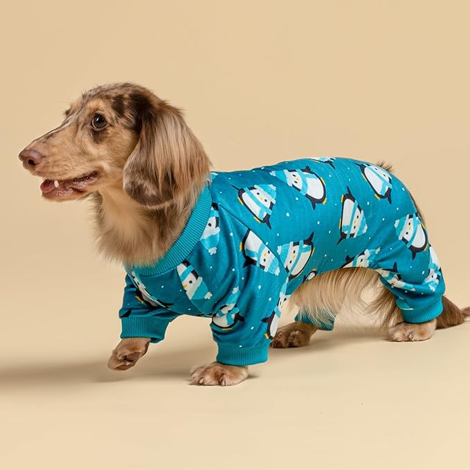 Fitwarm Cute Penguin Dog Pajamas, Dog Winter Clothes for Small Dogs Girl Boy, Cozy Dog Onesie, Soft Pet Jammies, Doggy Apparel, Teal Blue, Large