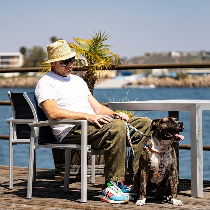 Wolfgang Heavy Duty Adjustable Dog Harness, Pull-Tested to Over 800 lbs for Walking & Training, SunsetPalms Print, Extra Large