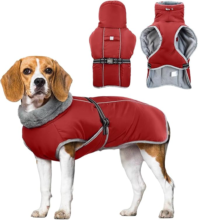 Warm Waterproof Dog Coat,Size M Dogs Jacket Pet Winter Coat for Cold Weather with Thicken Furry Collar,Reflective Puppy Winter Jacket Warm Fleece Lining for Medium Dogs,Red,M