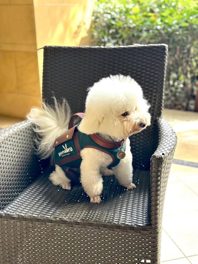 Dog Lift Harness Dog Carrier Dog VES Harness Adjustable Dog Leash with Small Puppy Treat Bag（Green,XS）