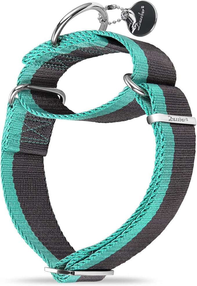Martingale Collar 1.5 Inch Wide 1200D Extra Strong Nylon Dog Collar, No Pull Heavy Duty Dog Collar with 2-Color Stripe for Medium to XLarge Dogs (Extra Large, Wide Grey & Blue)