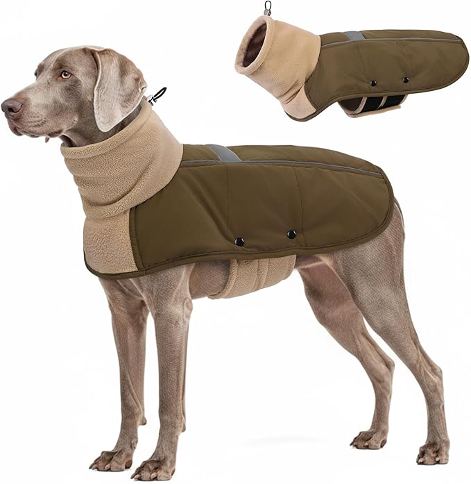 ASENKU Dog Coat, Dog Winter Jackets with Fleece Turtleneck, Windproof, Reflective Pet Snow Jacket for Cold Weather, Coats for Large Size Dogs Army Green, XXL