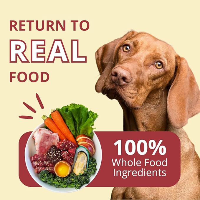 Steve's Real Food Freeze-Dried Raw Nuggets - Beef Recipe - Raw Pet Food for Dogs and Cats - 20 oz