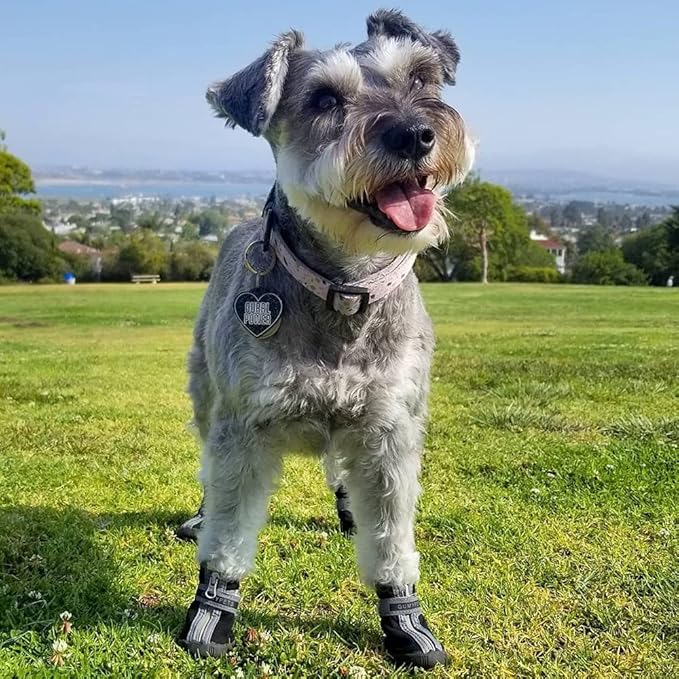 QUMY Dog Shoes for Small Dogs, Puppy Dog Boots & Paw Protectors for Winter Snow Day, Summer Hot Pavement, Waterproof in Rain Weather, Ourdoor Hiking, Indoor Hardfloor Skid-Resistant Sole Blue Size 2