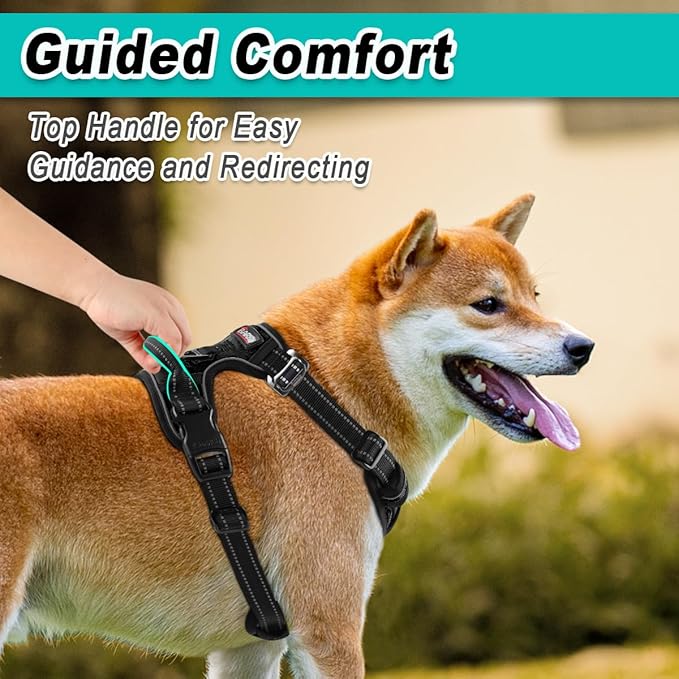 BARKBAY Dog Harness No Pull 3 Buckles for Small Dogs - Adjustable, Reflective, Comfortable, No Choke, Heavy-Duty - Perfect for Outdoor Training, Walking, and Hiking - Strong & Durable - S & Black
