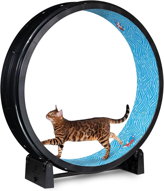 One Fast Cat - Cat Exercise Wheel - Gen. 7 - Safe 48" Diameter - Made in The USA - Black Wheel with Koi Pond Foam Traction Pads and Solid Black Inline Wheels