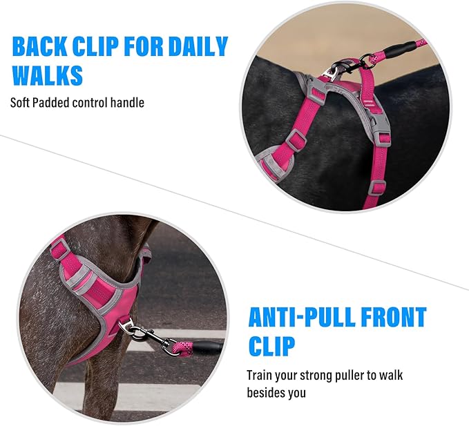 Plutus Pet No Pull Dog Harness, Release at Neck, Reflective Adjustable Dog Vest Harness, Easy Control Handle for Walking, for Small Medium Large Dogs, Hot Pink, S