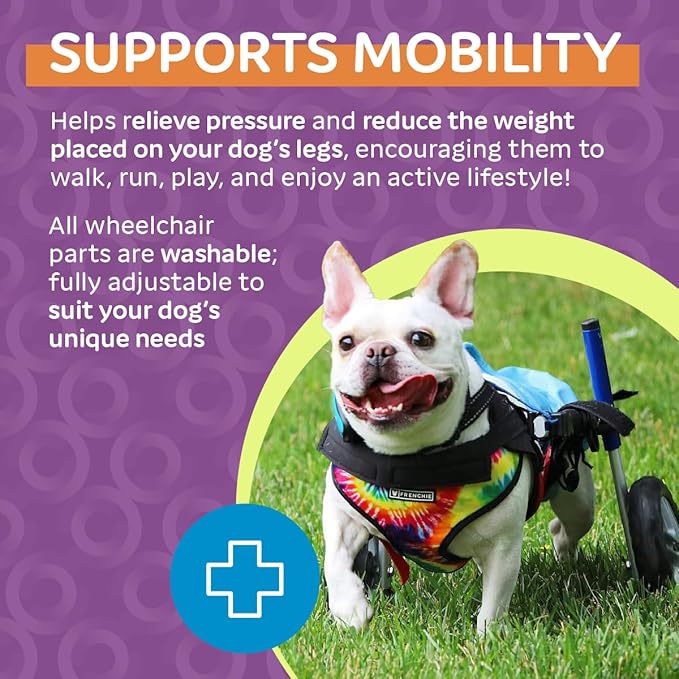 Walkin' Wheels Small Dog Wheelchair, Lightweight Dog Wheelchair for Back Legs, 11-14 lbs, for 9-13 inches Leg Height - Blue