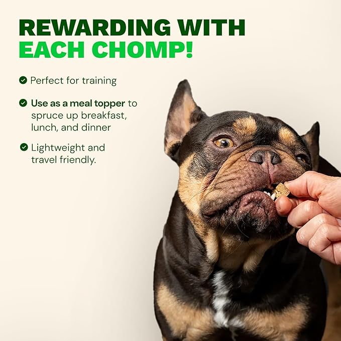 Get Joy Freeze Dried Superfood 100% Beef Liver Dog Treats, 4 Ounce Bag, Single Ingredient Organ Meat, High Protein, Vision, Skin & Coat Health, Muscle Repair, Grain Free, Gluten Free, Made in USA