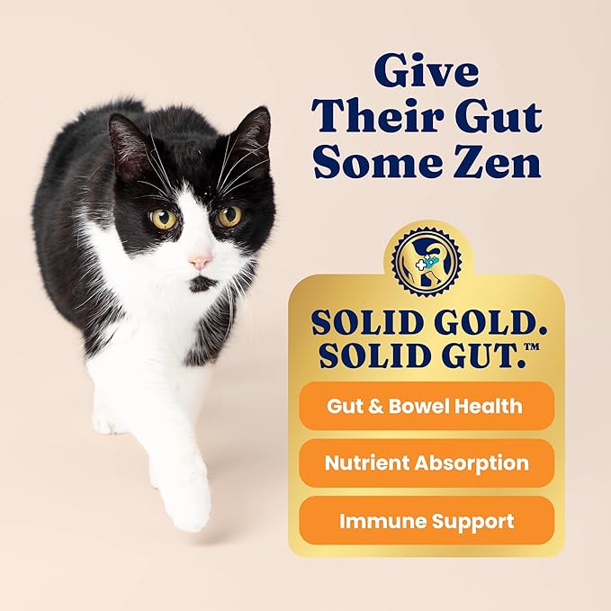 Solid Gold Indoor Dry Cat Food - Grain Free & Gluten Free - Salmon Cat Food Dry Kibble for Indoor Cats w/Probiotics & Fiber for Gut Health - Sensitive Stomach & Hairball Support for Adult Cats - 3LB