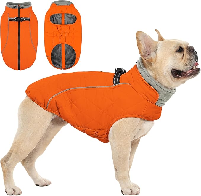 QBLEEV Warm Dog Coat for Medium Dogs, Waterproof Dog Winter Jacket with Built-in Harness & Reflective, Snowproof Warm Coat with Zip Closure, Neck Drawcord & Elastic Waist Snow Jackets, Blaze Orange, L