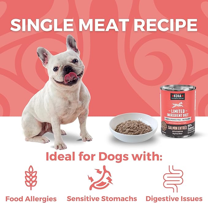 KOHA Limited Ingredient Diet Salmon Entrée for Dogs - Dog Food Toppers for Picky Eaters - Sensitive Stomach Canned Dog Food - Pate Dog - 13 oz Pack of 12