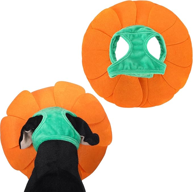 Pet Sun Flower Hat Halloween Pet Sunflower Costume for Dog Cat Puppy Dress up Collar Costume Hat Outfit Cosplay Halloween(Large)