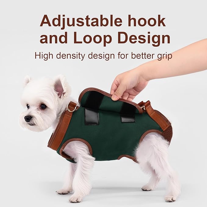 Dog Lift Harness Dog Carrier Dog VES Harness Adjustable Dog Leash with Small Puppy Treat Bag（Green,M）