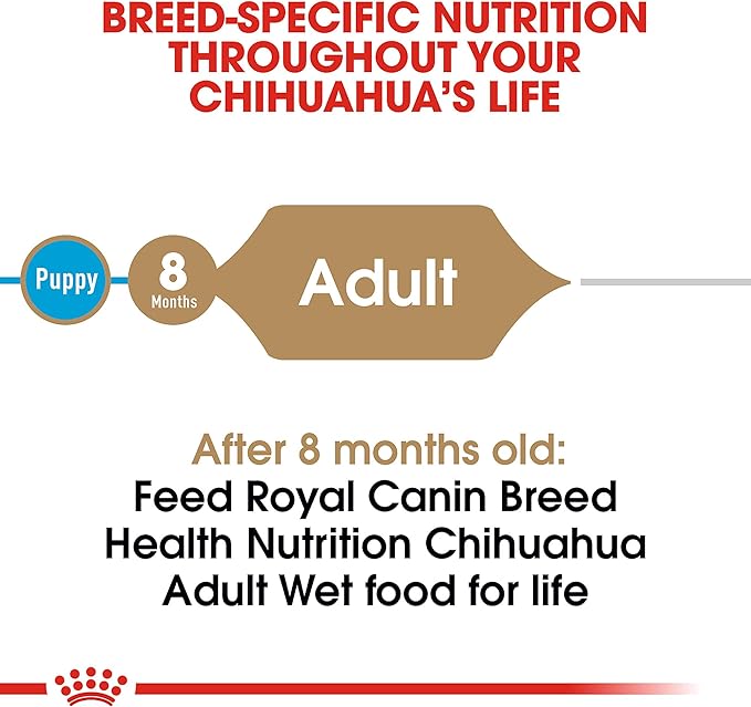 Royal Canin Breed Health Nutrition Chihuahua Adult Loaf in Sauce Wet Dog Food, 3 oz can (4-pack)