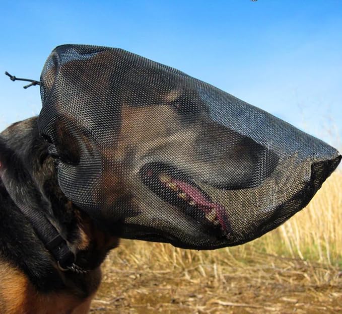 Out Fox Field Guard Size XL - Vet-Recommended Dog Safety Mask for Foxtails, Grass Seeds, Bugs and Debris | Breathable, Lightweight, Patented Design | Multiple Sizes